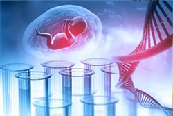 潜江怀孕期间怎么鉴定孩子是谁的，潜江哪些人适合做无创胎儿亲子鉴定