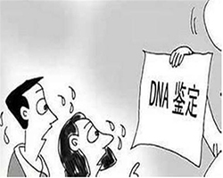 潜江医院办理DNA亲子鉴定所需样本有些什么
